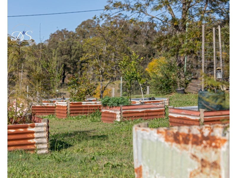 64 Eloiza Street, Dungog NSW 2420