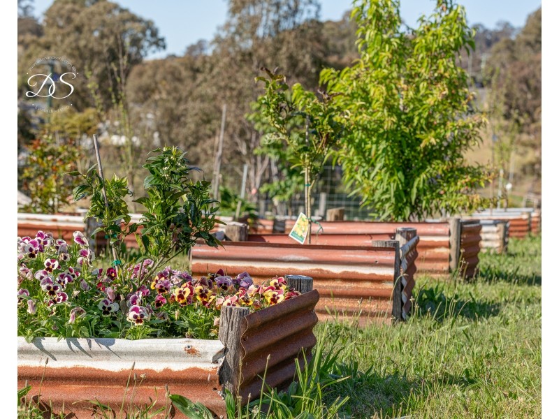 64 Eloiza Street, Dungog NSW 2420