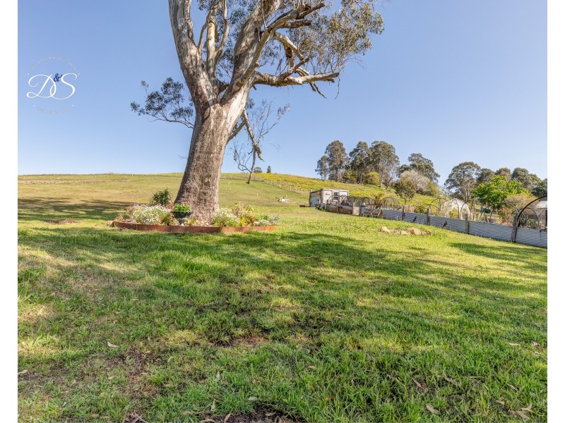 64 Eloiza Street, Dungog NSW 2420