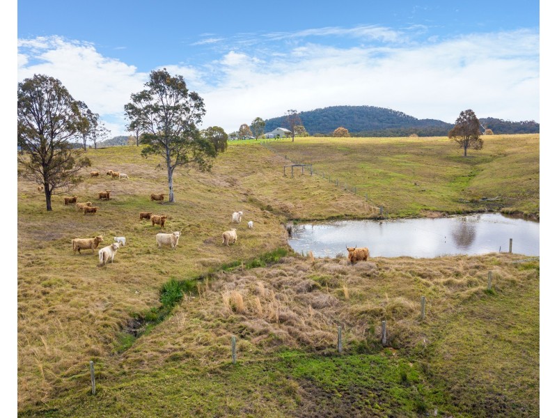 315 Warraba Road, The Branch Via, Stroud NSW 2425