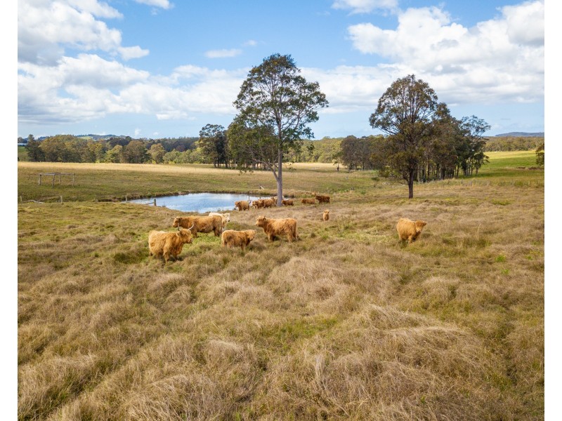 315 Warraba Road, The Branch Via, Stroud NSW 2425