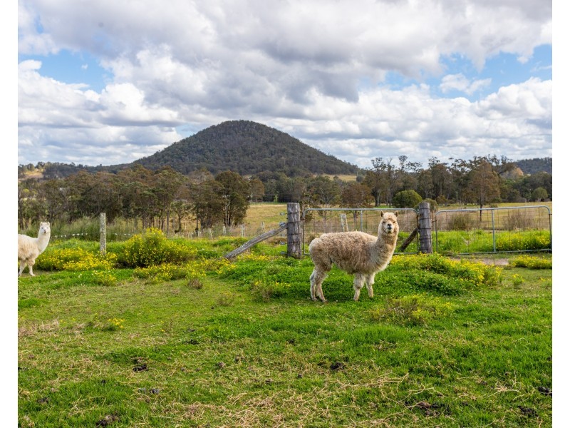 315 Warraba Road, The Branch Via, Stroud NSW 2425