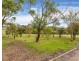12 O’Loughlin Street, Clarence Town NSW 2321