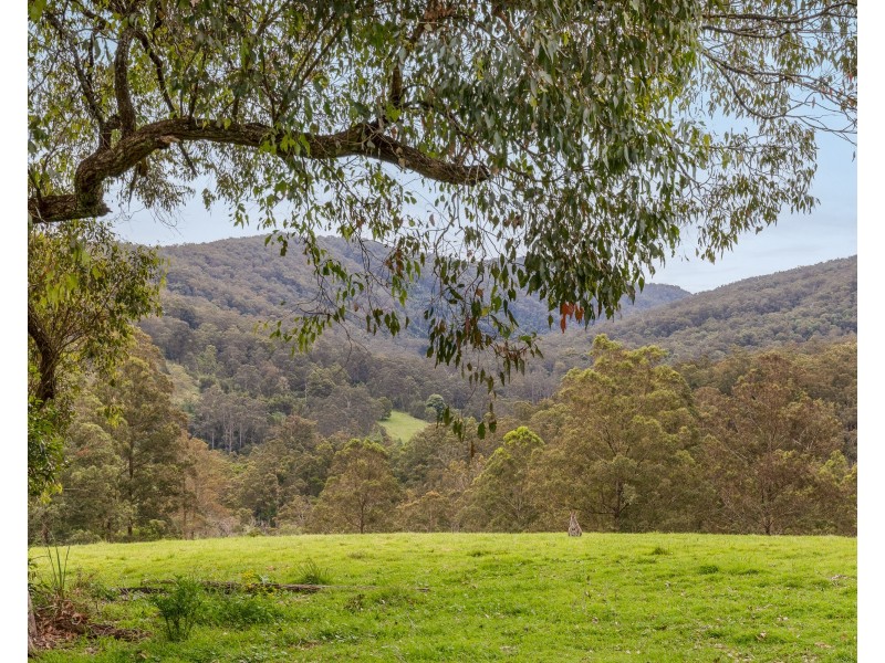 210 Moylans Road, Fosterton Via, Dungog NSW 2420