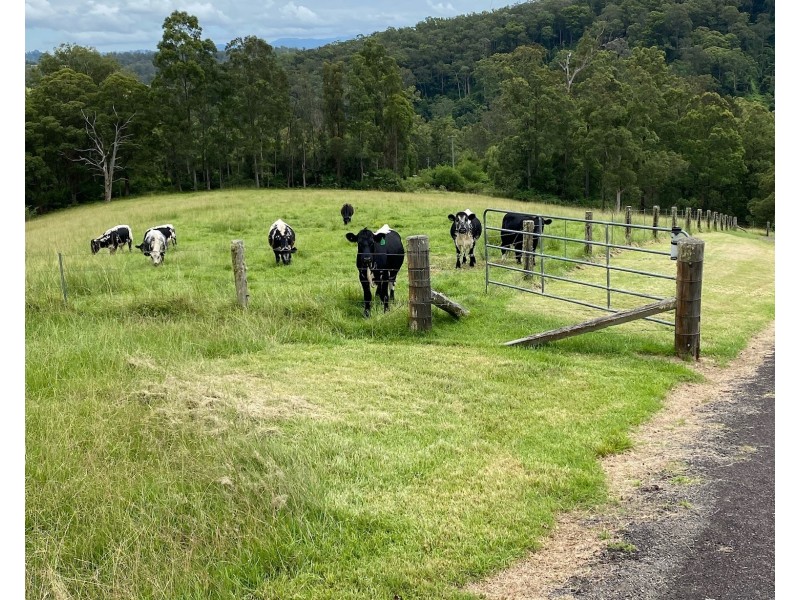 210 Moylans Road, Fosterton Via, Dungog NSW 2420