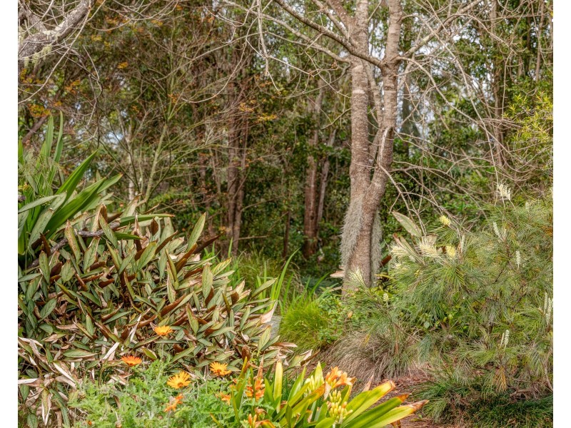 17 Tanna Road, Glen Martin Via, Clarence Town NSW 2321