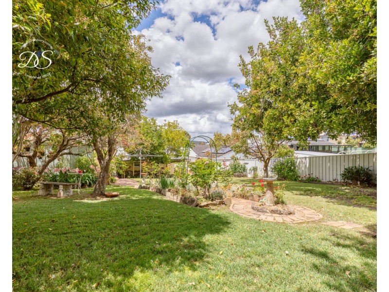 24 Moore Street, Dungog NSW 2420