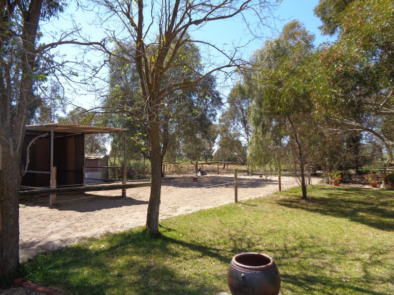 107 Bowyer Road, Owen SA 5460