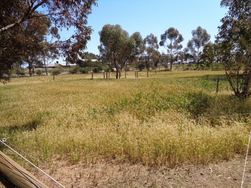 107 Bowyer Road, Owen SA 5460