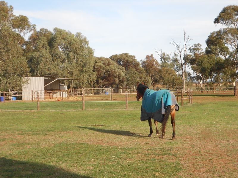 107 Bowyer Road, Owen SA 5460