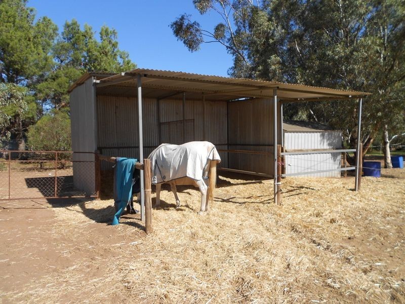 107 Bowyer Road, Owen SA 5460