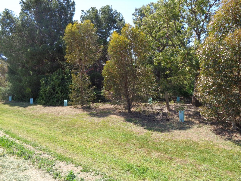 107 Bowyer Road, Owen SA 5460