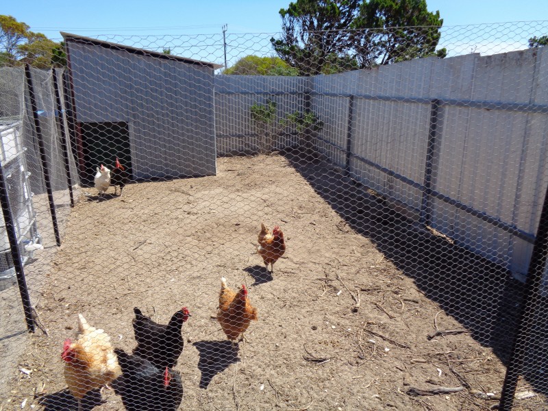 9 Thompsons Beach Road, Thompson Beach SA 5501