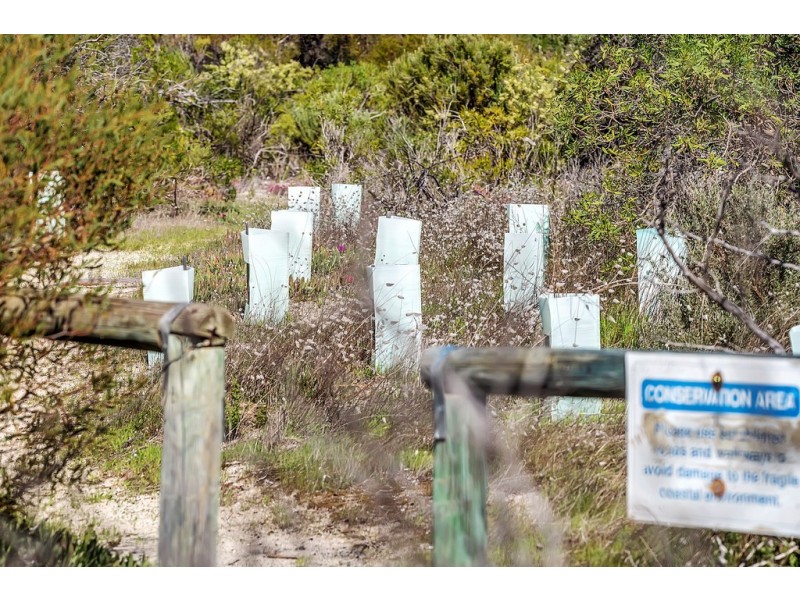 3 Collins Street, Webb Beach SA 5501