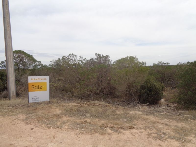 55 The Esplanade, Thompson Beach SA 5501