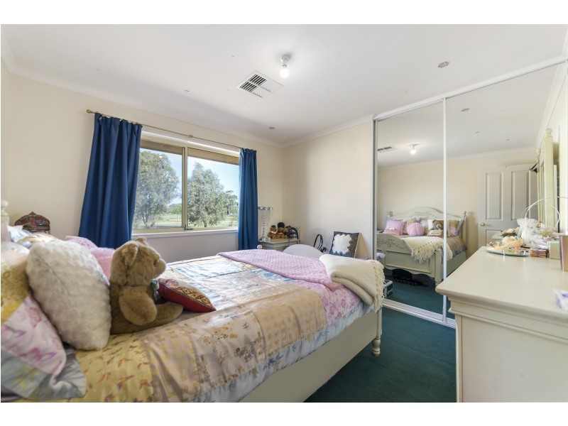 11 Clancy Road, Gawler Belt SA 5118