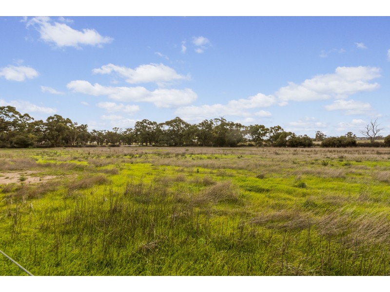 11 Clancy Road, Gawler Belt SA 5118