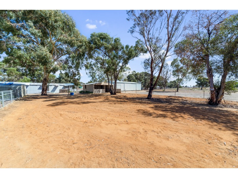 43 Hayman Road, Two Wells SA 5501