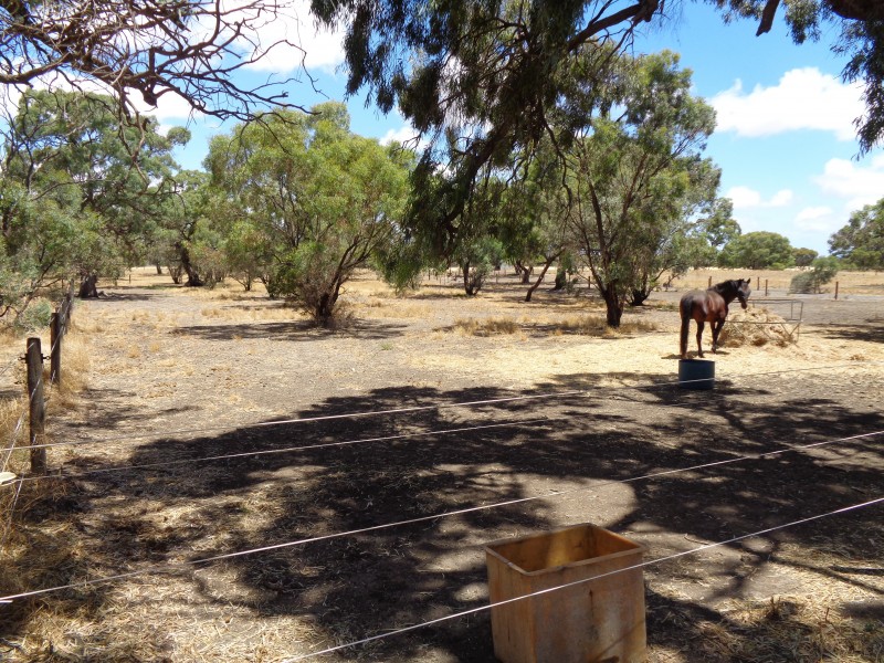 66 Gawler River Road, Lewiston SA 5501