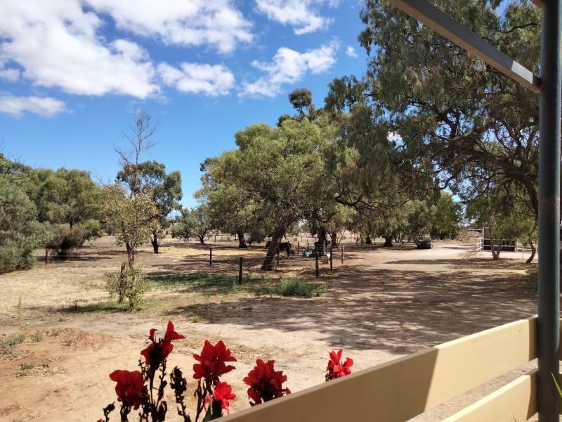 66 Gawler River Road, Lewiston SA 5501