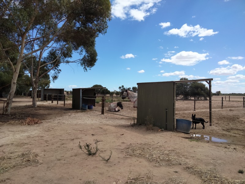 66 Gawler River Road, Lewiston SA 5501