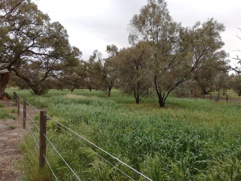 66 Gawler River Road, Lewiston SA 5501