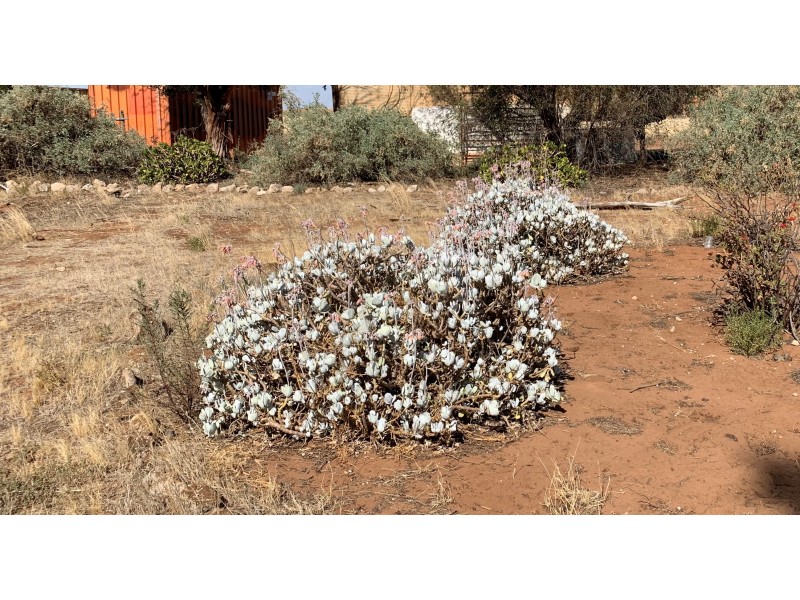 624 Limerock Road, Dublin SA 5501