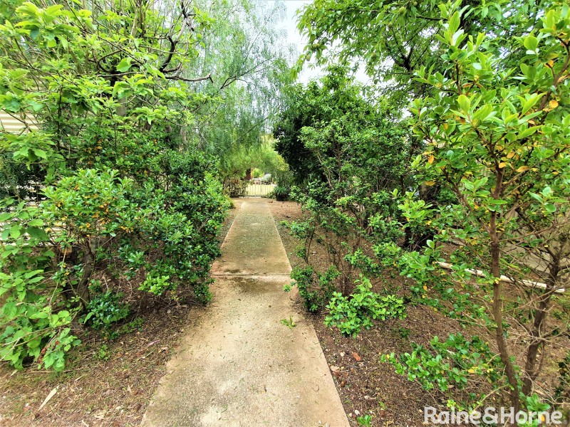 3 Third Street, Dublin SA 5501