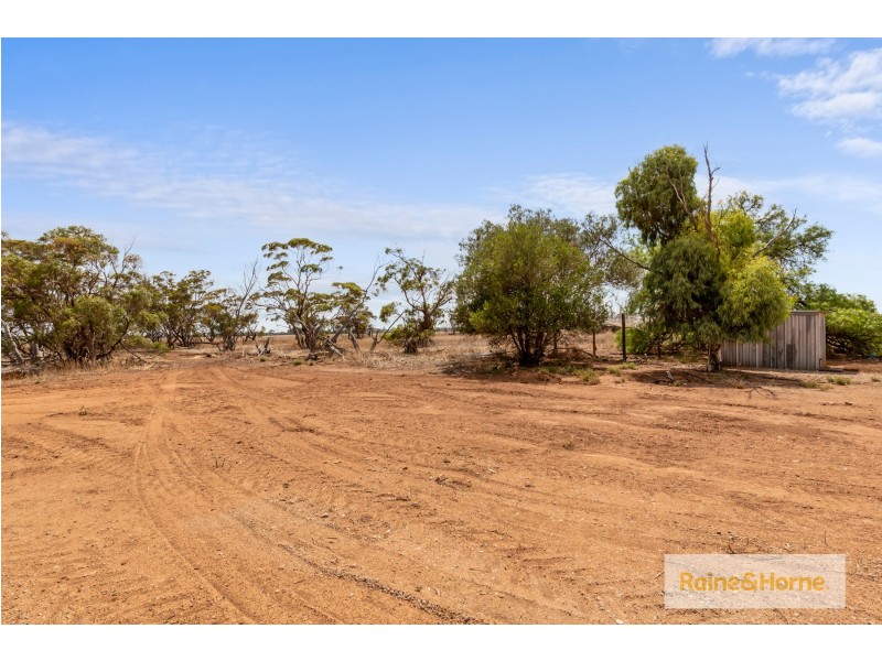 175 Hill Road, Mallala SA 5502