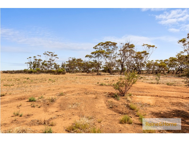 175 Hill Road, Mallala SA 5502