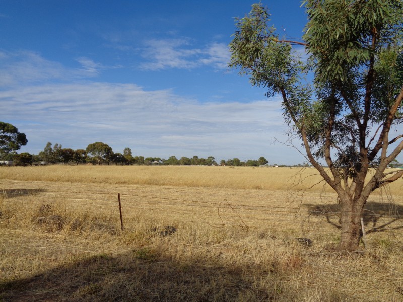 5 Goss Road, Lewiston SA 5501