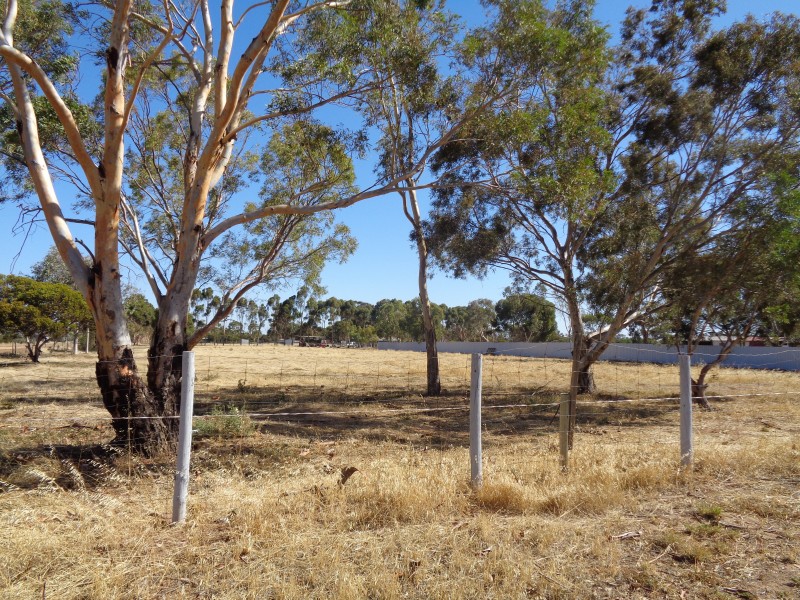 Lot/42 Hayman Road, Two Wells SA 5501