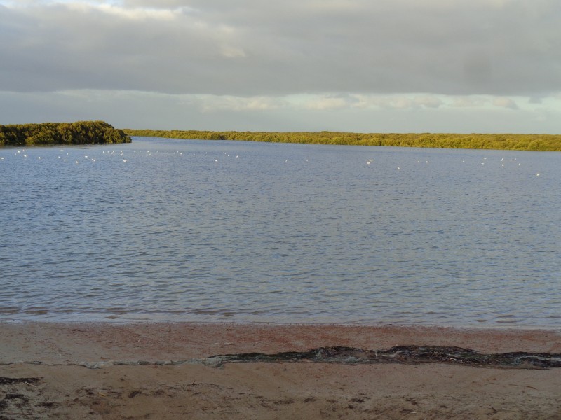 LOT 746 THE ESPLANADE, Middle Beach SA 5501