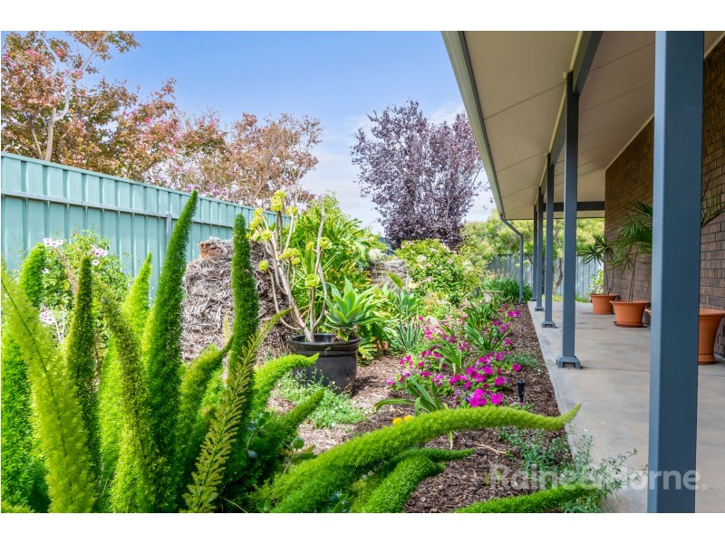 20 Canala Court, Two Wells SA 5501