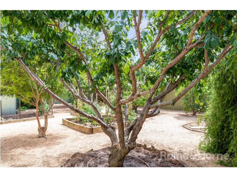 20 Canala Court, Two Wells SA 5501