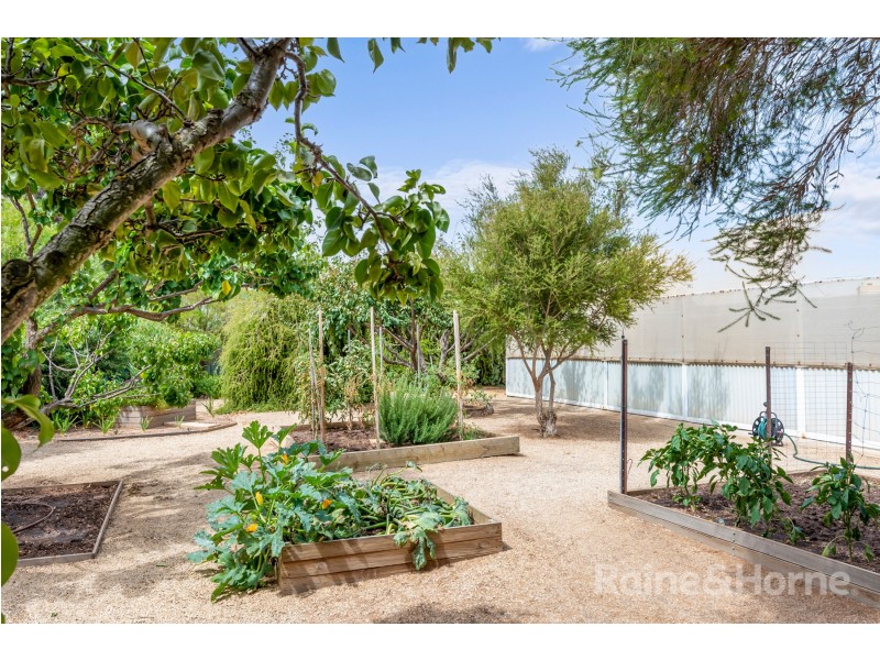 20 Canala Court, Two Wells SA 5501