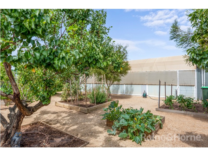 20 Canala Court, Two Wells SA 5501