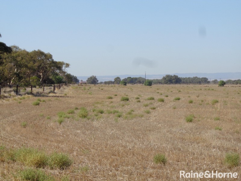 341 Devon Road, Lower Light SA 5501