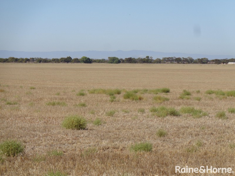 341 Devon Road, Lower Light SA 5501