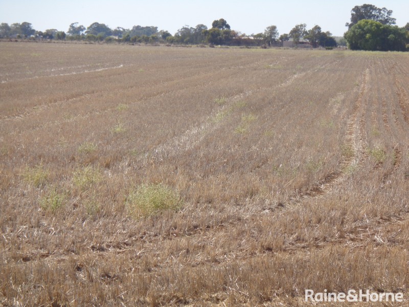 341 Devon Road, Lower Light SA 5501