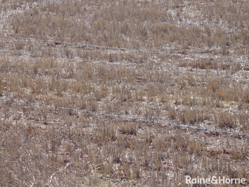 341 Devon Road, Lower Light SA 5501