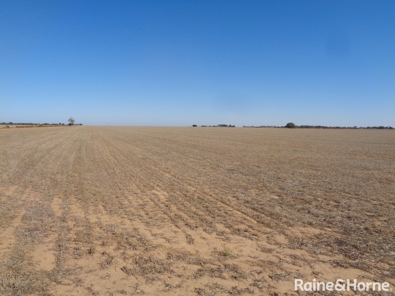 341 Devon Road, Lower Light SA 5501