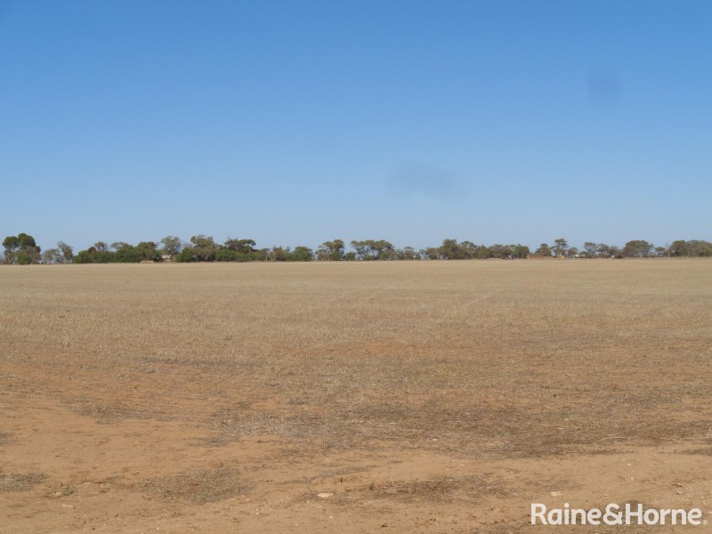 341 Devon Road, Lower Light SA 5501