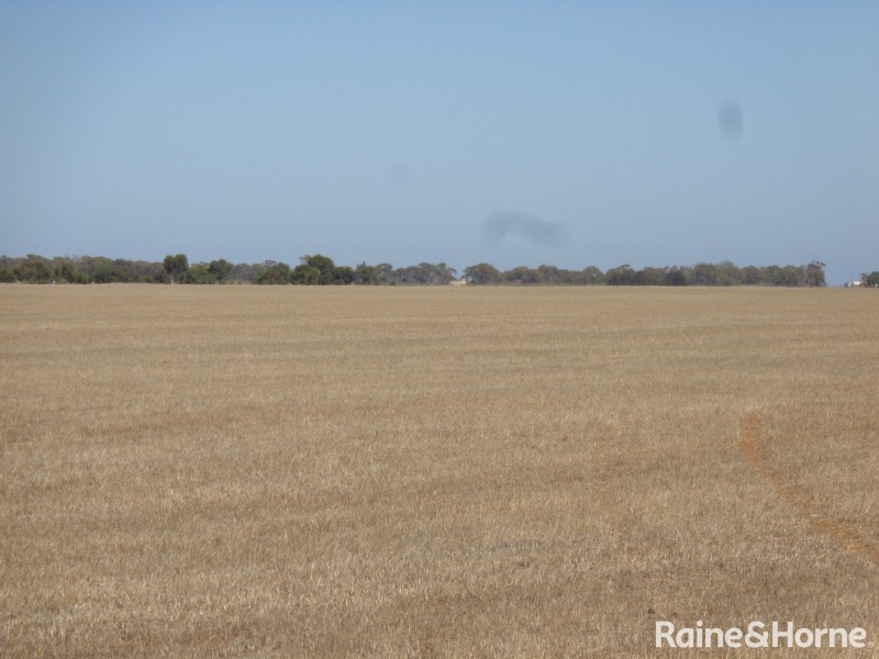 341 Devon Road, Lower Light SA 5501