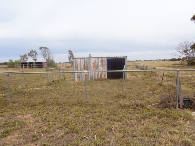 61 WILLIAMS ROAD, Two Wells SA 5501