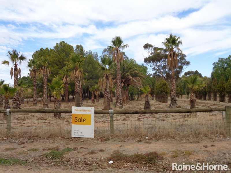 124 Dawkins Road, Lewiston SA 5501