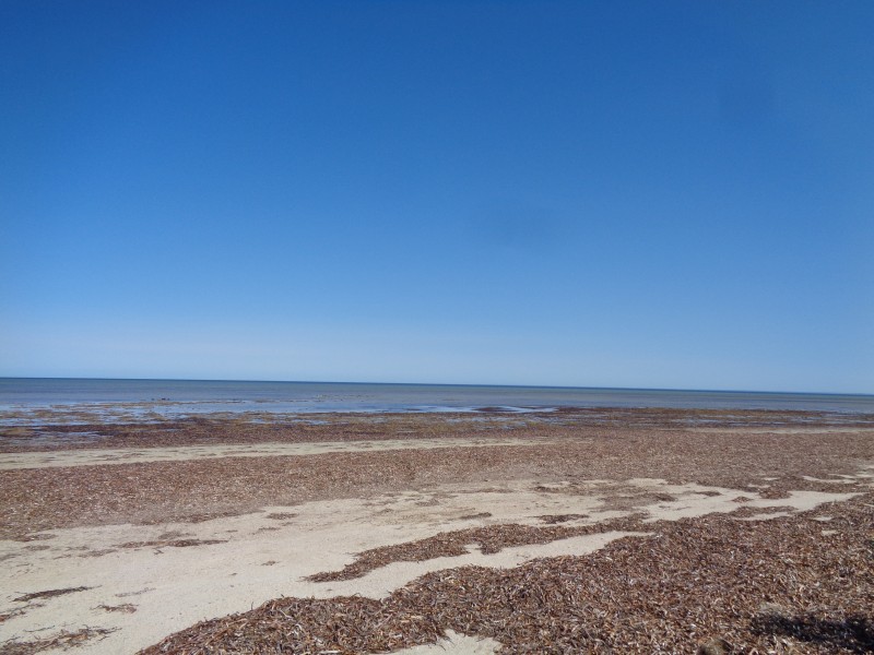 8 & 14 Kestrel Crescent, Thompson Beach SA 5501