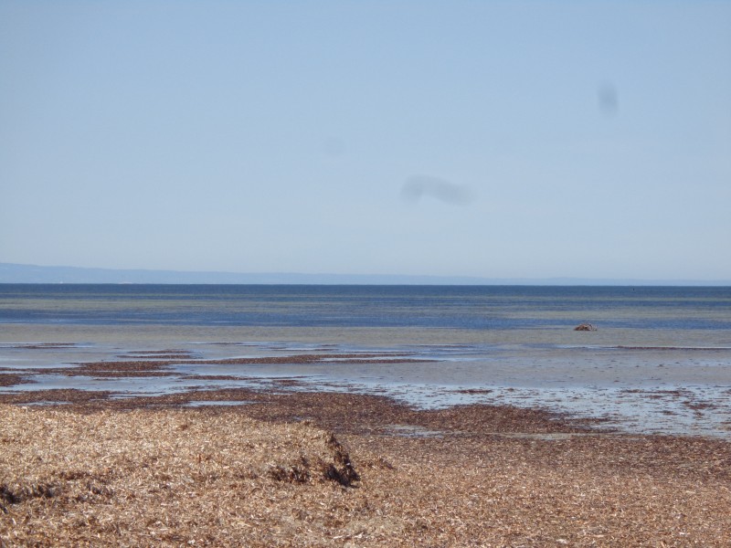 8 & 14 Kestrel Crescent, Thompson Beach SA 5501