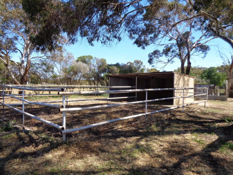 14 Glover Road, Two Wells SA 5501