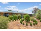 529 Paddys Bridge Road, Redbanks SA 5502